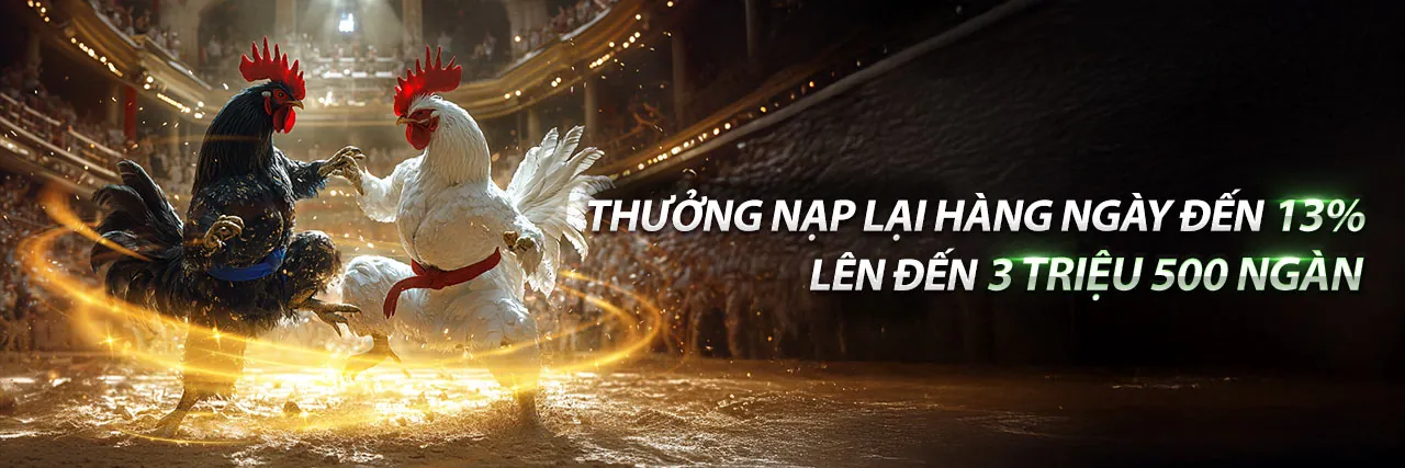 Đá gà trực tiếp 21 12 với không khí sôi động